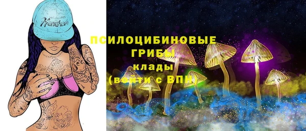 мескалин Богородск