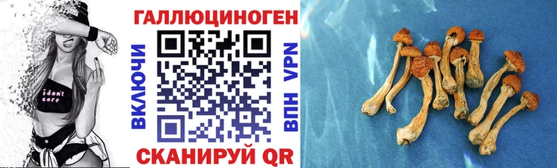 Галлюциногенные грибы Psilocybine cubensis Симферополь